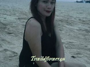Tswildflower4u
