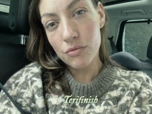 Terifinish