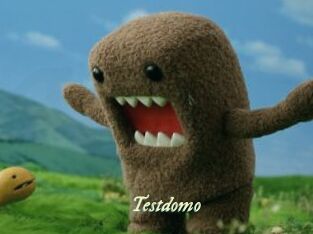 Testdomo