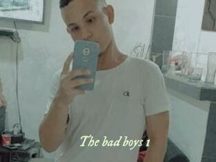 The_bad_boys_1