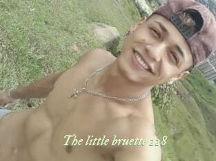 The_little_bruette_228