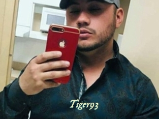 Tiger93