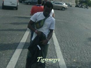 Tigrenegro