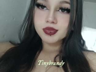 Tinybrandy