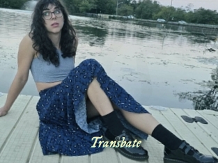 transbate Année du sexe