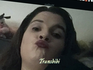 Transbibi