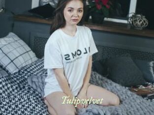Tulipvelvet
