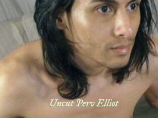 Uncut_Perv_Elliot