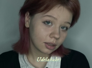 Udelahakes