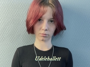udelehallett Année du sexe