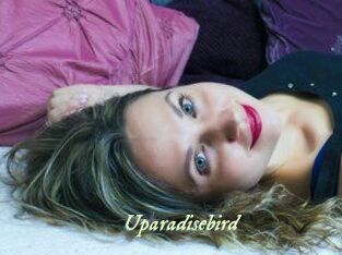 Uparadisebird