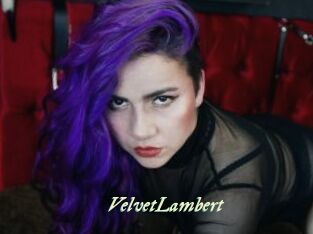 VelvetLambert