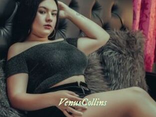 VenusCollins