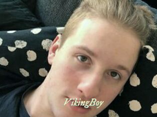 VikingBoy