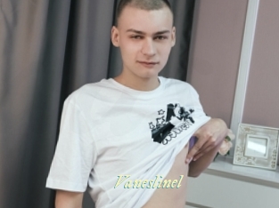 Vaneslinel
