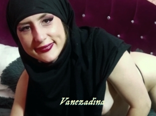 Vanezadina
