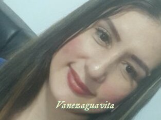 Vanezaguavita