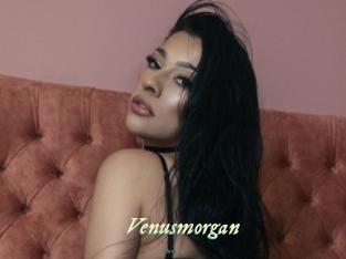Venusmorgan