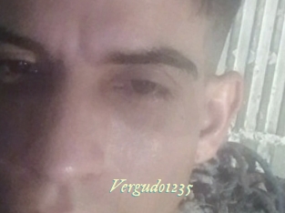 Vergudo1235