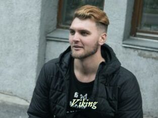 viking Année du sexe