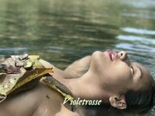 Violetrosse