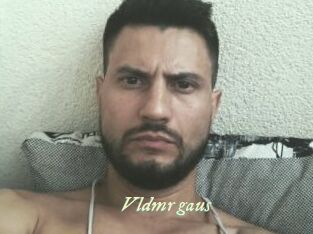 Vldmr_gaus