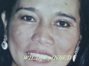 WILDpussyINBED