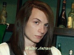 Walter_Antwort