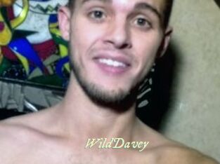 WildDavey