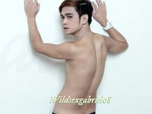 Wildsexgabriel08