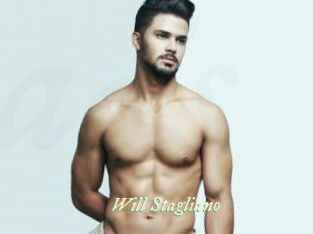 Will_Stagliano Année du sexe