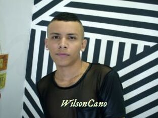 WilsonCano Année du sexe
