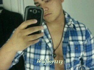 Wolfboy1213