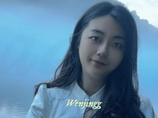 Wenjingg