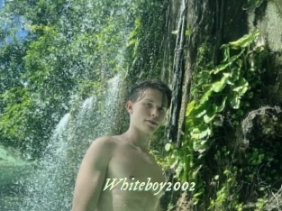 whiteboy2002 Année du sexe