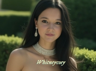 whitneycoey Année du sexe