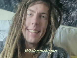wholesomehippies Année du sexe