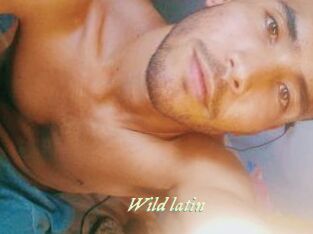 Wild_latin