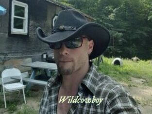 Wildcowboy