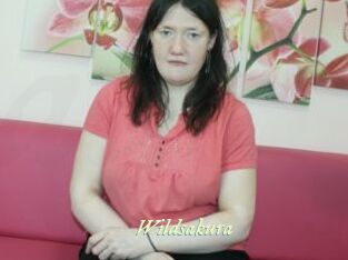 wildsakura Année du sexe