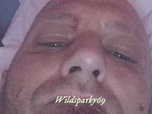 wildsparky69 Année du sexe