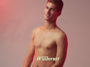 willbornet Année du sexe