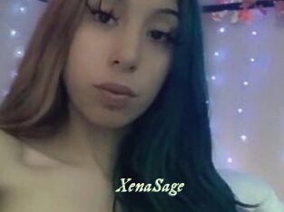 XenaSage Année du sexe