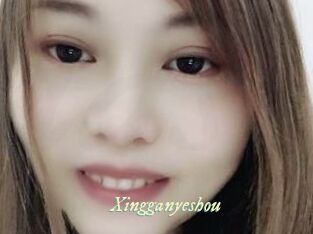 Xingganyeshou