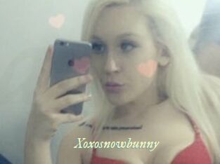 Xoxosnowbunny