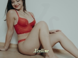 xcelline Année du sexe