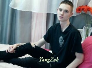 YangZak