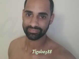 Yigolo0388