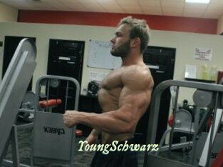 YoungSchwarz