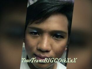 YourTransBIGCOckXxX